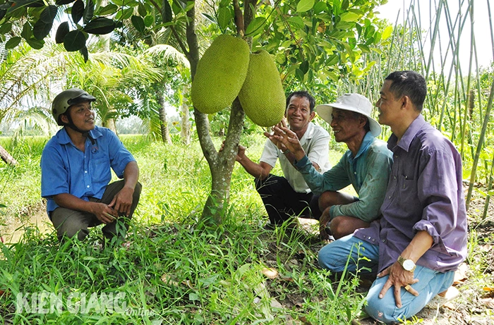 Trưởng Ban Dân vận Tỉnh ủy Kiên Giang Mai Hoàng Khởi: Đẩy mạnh vận động nhân dân tích cực hưởng ứng phong trào chung sức xây dựng nông thôn mới